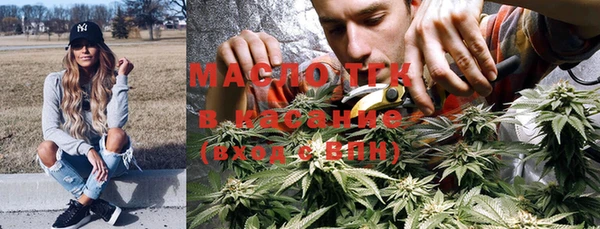 шишки Верхний Тагил