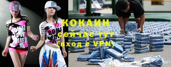 шишки Верхний Тагил