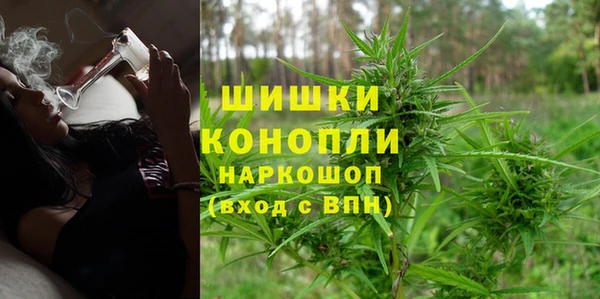 индика Бородино