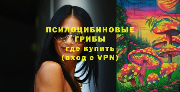 дурь Верея