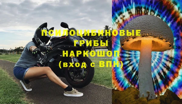 шишки Верхний Тагил