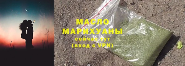 шишки Верхний Тагил
