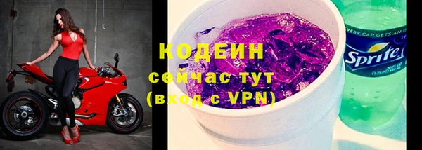 шишки Верхний Тагил