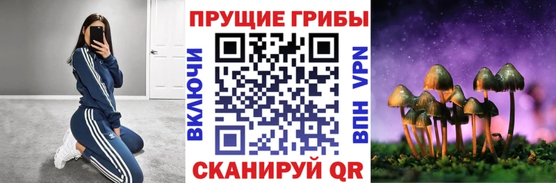 Псилоцибиновые грибы мицелий  Выборг 